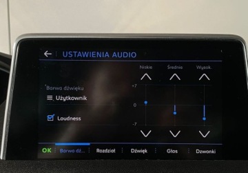 Peugeot 3008 II 2019 Peugeot 3008 3008 Active Automat Vat Marza Salon PL Bezwypadkowy, zdjęcie 19