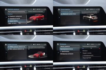 BMW Seria 3 G20-G21 2022 BMW Seria 3 320e Sportline 2.0 Hybryda Plug-In 272KM Bezwypadek SerwisASO, zdjęcie 24