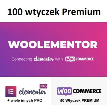 Wtyczka CoDesigner PRO (formerly Woolementor PRO)
