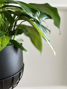 Набор металлических подставок для цветов LOFT Design, 3 шт.