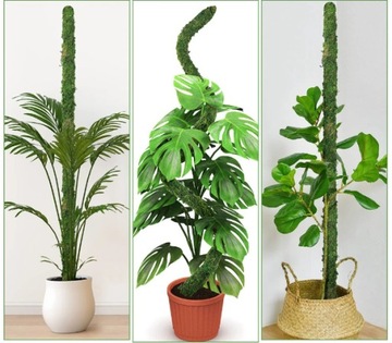 ПРОЧНЫЙ ГИБКИЙ СТОЛБ ИЗ МОХА ДЛЯ ГОРШЕЧНЫХ РАСТЕНИЙ 60 СМ