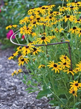 ПЕРГОЛА САДОВАЯ ОПОРА ДЛЯ ЦВЕТОЧНЫХ РАСТЕНИЙ 115 СМ