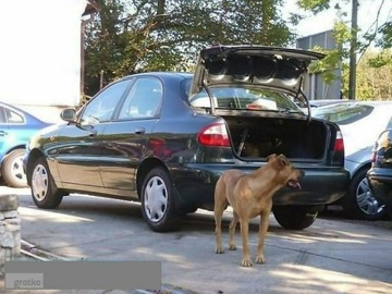 Daewoo Lanos 2002 Daewoo Lanos BEZWYPADKOWY serwis 65tys .stan BD, zdjęcie 2