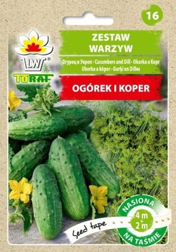 OGÓREK I KOPER KREZUS NASIONA TAŚMA 6m