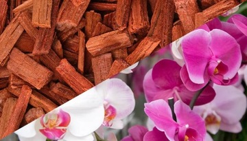 Odświeżacz Powietrza Zapach do Wentylatora Black Orchid ZESTAW 4 szt