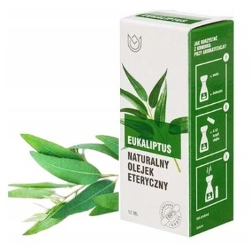 NATURALNY 100% OLEJEK ETERYCZNY EUKALIPTUS 10ML