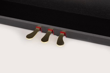 Цифровое пианино M-tunes mtDK-600bk, черное