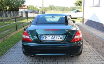 Mercedes SLK R171 Roadster 3.0 V6 (280) 231KM 2006 Mercedes-Benz SLK 3.0 i Skorzana tapicerka cabrio 1 rok gwarancji w cen, zdjęcie 4