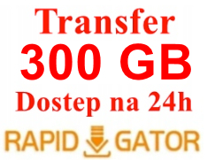 RAPIDGATOR.NET RG.TO 24H KONTO PREMIUM ORYGINALNE LIMIT 300GB