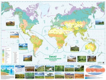 ŚWIAT POTENCJALNA ROŚLINNOŚĆ NATURALNA