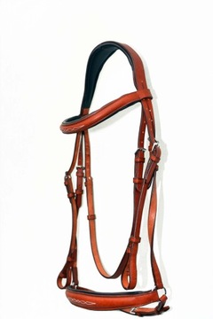 Профилированная анатомическая команда полна