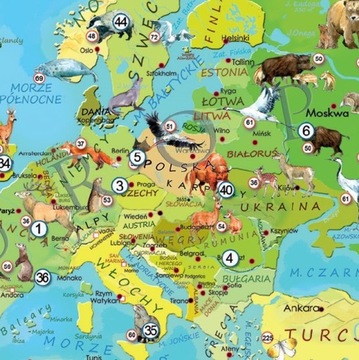 ПАЗЛ для детей с животными Юного исследователя Животные мира ArtGlob