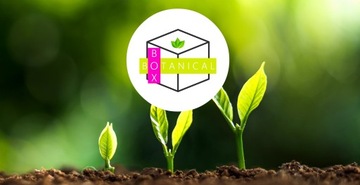 ЗЕМЛЯНОЙ СУБСТРАТ ДЛЯ ЮКИ ПАЛЬМЫ МОНСТР ДРАЦЕНЫ С УДОБРЕНИЯМИ 10Л + LECA 2Л