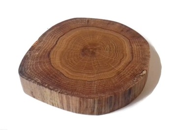 Dąb olejowany 10-12 cm Plaster drewna krążki dębowe