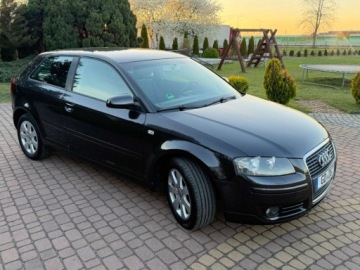 Audi A3 8P Hatchback 3d 1.6 102KM 2004 Audi A3 3-drzwiowe 1.6mpi 102KM Klima Alusy Grzane fotele Sprawdz 1.6, zdjęcie 3
