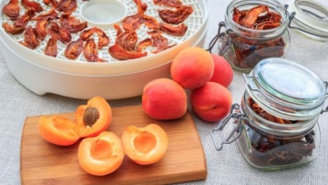 Сушилка для грибов, фруктов и овощей MPM BSG-01 250 Вт