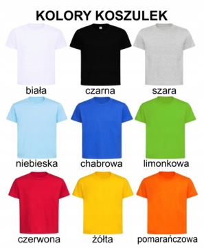 Футболка с надписью - OLD BROTHER, CHARGE, микс цветов р. 128