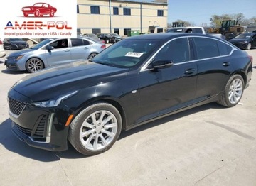 Cadillac 2023 Cadillac CT5 Luxury 2023 2.0l 2.0 Benzyna 237KM