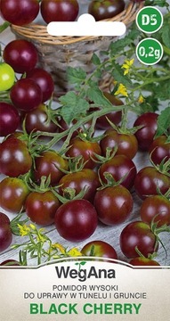 Pomidor Black Cherry 0,2g WEGANA NASIONA PROFI