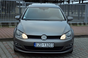 Volkswagen Golf VII Hatchback 3d 1.6 TDI-CR DPF 105KM 2014 Volkswagen Golf VII CUP Edition 1.6TDI 105KM 5drzwi ACC BOGATA Wersja 2014r, zdjęcie 3
