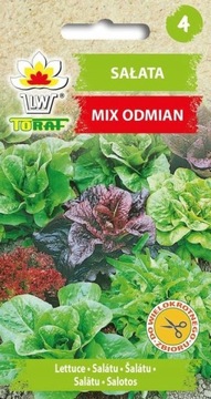 Sałata mieszanka odmian mix krucha lodowa masłowa 1g