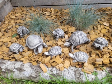 figurki gipsowe żółwie żółw dekoracja upominek 3d