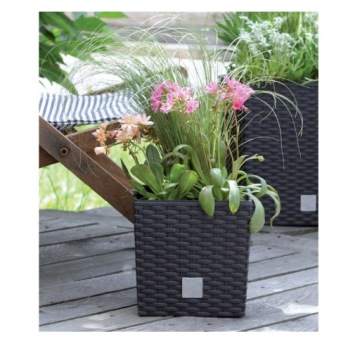 ДОМАШНИЙ САД ГОРШОК RATO НИЗКИЙ ЦВЕТОЧНЫЙ ГОРШОК ИЗ РОТАГА + БЕЛАЯ ВСТАВКА