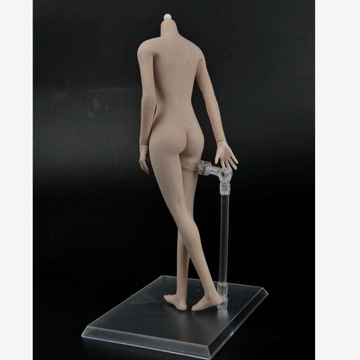 Скейл маленькая грудь самка тела резина