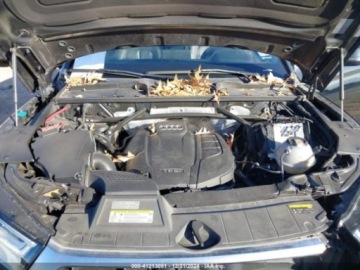 Audi Q5 II SUV 2.0 TFSI 252KM 2018 Audi Q5 2018 Audi Q5 2.0 TFSI Premium Plus 2.0 Benzyna 252KM, zdjęcie 14