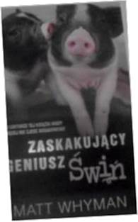 Zaskakujący geniusz świń - Matt Whyman