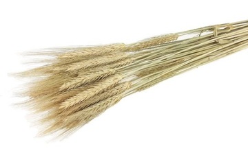 TRITICAL NATURAL домашние сушеные хлопья