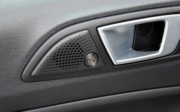 Ford Ecosport II SUV Facelifting 1.0 EcoBoost 125KM 2022 Ford EcoSport ACTIV IDEALNY FUL LED skora el.klapa navi alus Idealny 125KM, zdjęcie 22