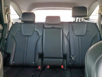 Kia Sorento IV 2024 Kia Sorento S 2024 2.5l 2.5 Benzyna 191KM, zdjęcie 10