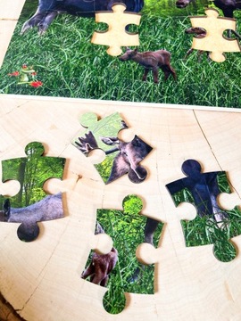 Деревянный пазл про лося, лесной пазл, набор