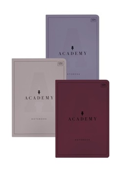 Interdruk Zeszyt A5 60 kartek Academy 3szt