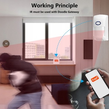 Датчик движения Tuya Zigbee для гостиной, Wi-Fi-сигнализация