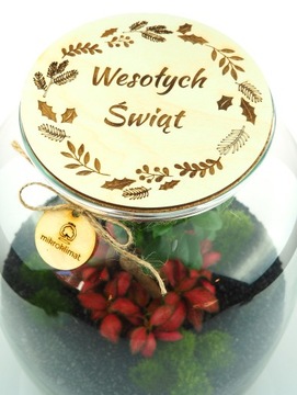 Микроклимат лес в банке НАБОР СДЕЛАЙ САМ