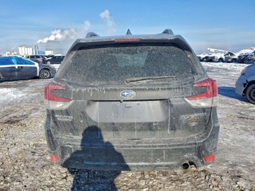 Subaru Forester VI 2024 Subaru Forester Wilderness 2024 2.5 Benzyna 182KM, zdjęcie 2