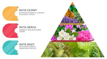 АВТОМОБИЛЬНЫЙ АРОМАТ ЦИТРУСОВЫЕ ДУХИ INVAME