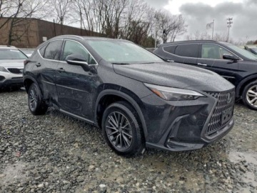 Lexus NX II 2025 Lexus NX 250 Premium 2025 2.5 Benzyna 203KM, zdjęcie 4