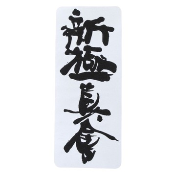 BELTOR NASZYWKA SHINKYOKUSHINKAI NA KIMONO KARATE