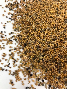 GORCZYCA BIAŁA 1kg
