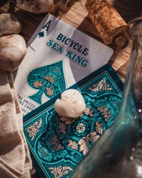 Карты Sea King BICYCLE