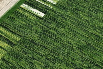 РЕЗИНОВЫЙ КОВЕР 67 см ADAGIO зеленый ^*Q3311