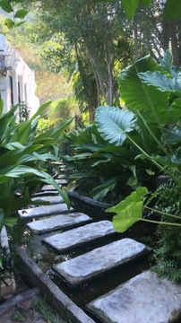 Натуральное тамариндовое мыло, осветляющее, 100г.