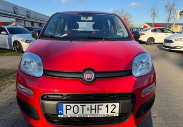 Fiat Panda III Hatchback 5d seria 3 1.2 69KM 2019 Fiat Panda Fiat Panda 1.2 StartampStop Easy 1.2 Benzyna 69KM, zdjęcie 1