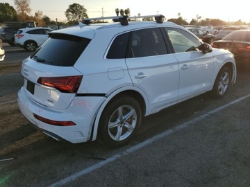 Audi Q5 II 2023 Audi Q5 Premium 40 2023 2.0l 2.0 Benzyna 201KM, zdjęcie 3