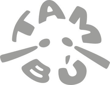 Tambu stalowy bębenek językowy - instrument muzyczny 11 tonowy - czerwony