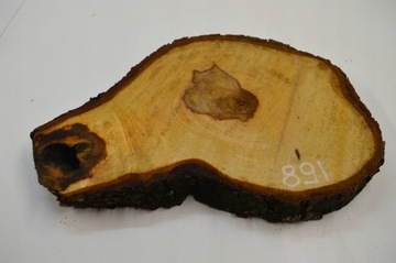 Срез древесины каштана 47x31см Gr4см Доска Patera