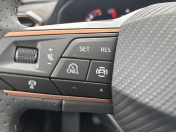 Cupra Formentor Crossover 1.5 TSI 150KM 2025 Cupra Formentor 1.5 eTSI 150 KM 7-biegowa automaty, zdjęcie 16